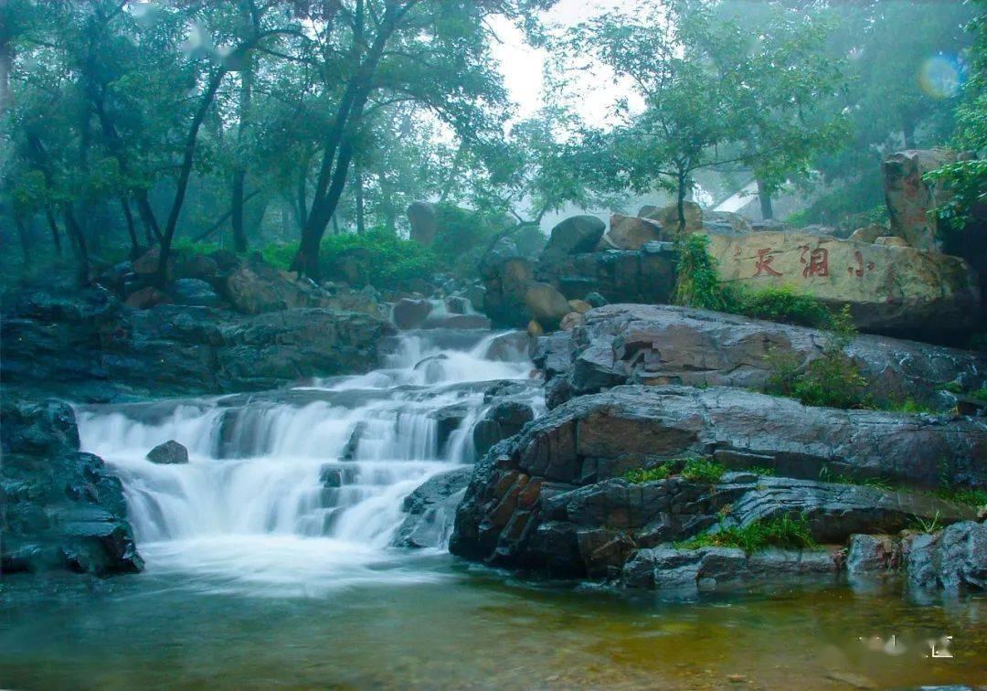 逃出猫头鹰岛